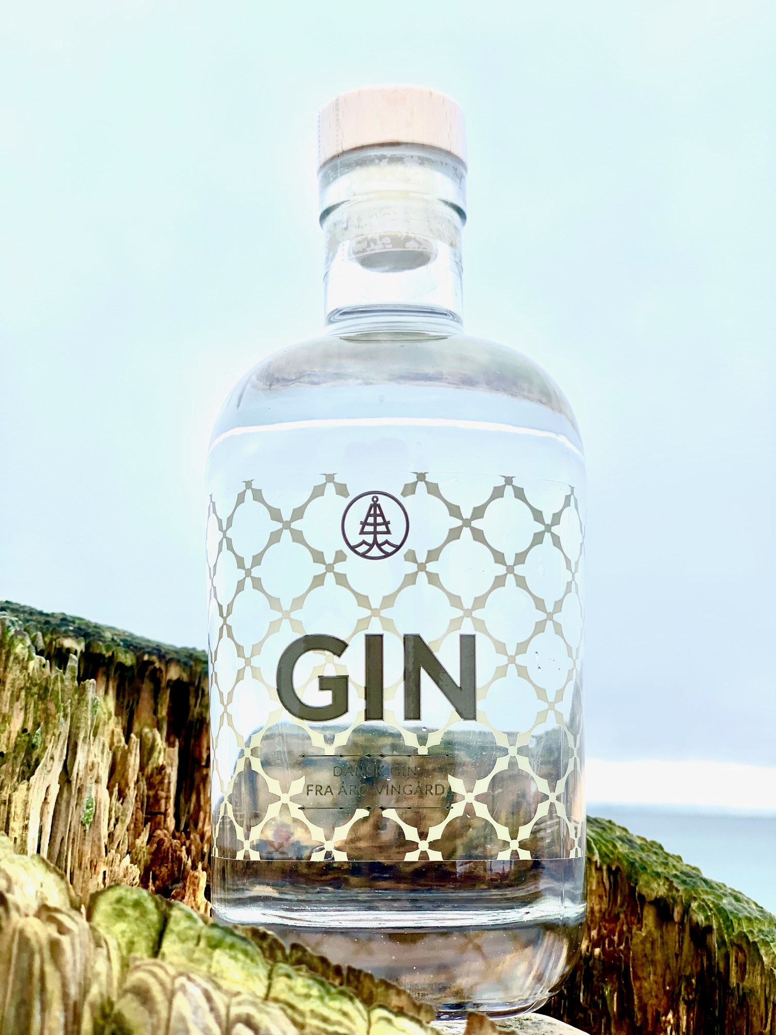 Gin 